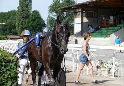 mb P2820333 Light the Fire