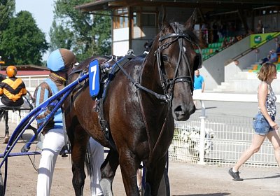 mb P2820336 Light the Fire