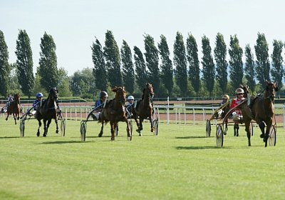 scs 170616 0083 Brabus Tilleul