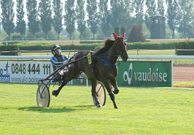 mb DSC02688 Semola GK