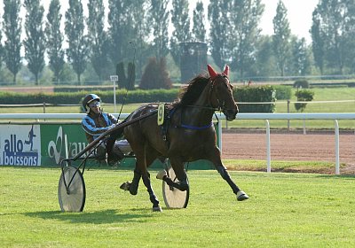 mb DSC02689 Semola GK