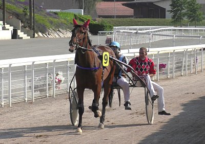 mmo Semola 23juni17 Avenches S1960002