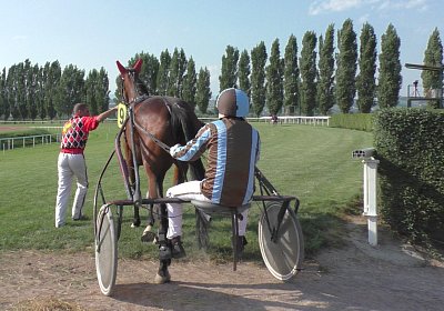 mmo Semola 23juni17 Avenches S1960005