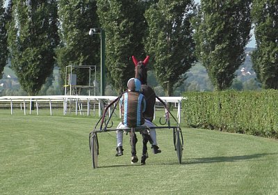 mmo Semola 23juni17 Avenches S1960007