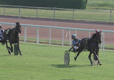 mmo Semola 23juni17 Avenches S1960012