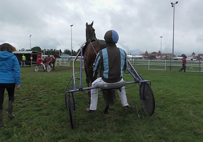 a Top Winner Saignelegier S2080018 (Andere)