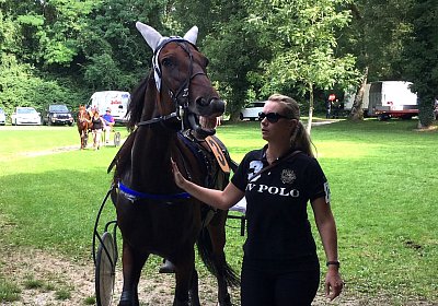 IMG 0425 Semola
