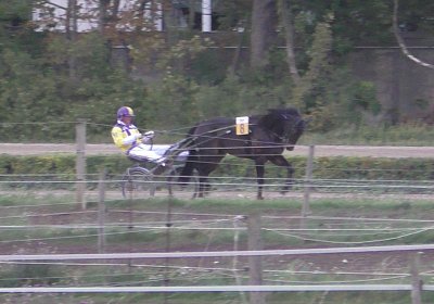 B Baden Wien Globi S2110079