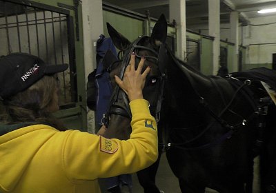 C Baden Wien Globi S2110104