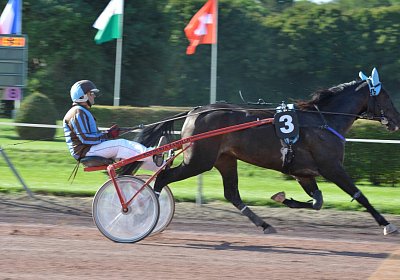 MB Avenches 170915 026 Canone du Bocage