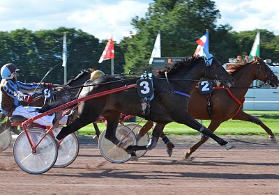 MB Avenches 170915 029 Canone du Bocage