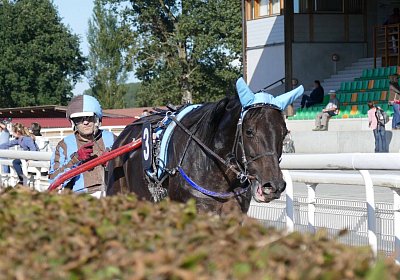 MB Avenches 170915 031 Canone du Bocage