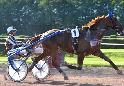 MB Avenches 170915 044 Richmond Park