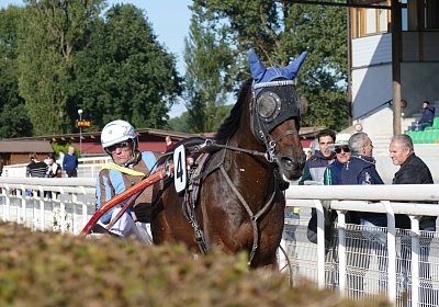 MB Avenches 170915 049 Rebel du Loisir