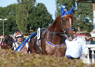 MB Avenches 170915 050 Richmond Park