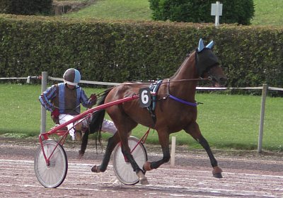 Fernando Sieg Av 17Sept2017 A Heat S2130002