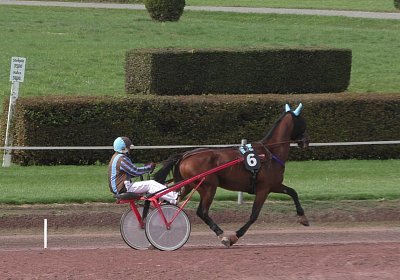 Fernando Sieg Av 17Sept2017 A Heat S2130004