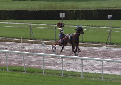 Fernando Sieg Av 17Sept2017 A Heat S2130006