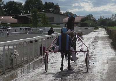 Fernando Sieg Av 17Sept2017 A Heat S2130009