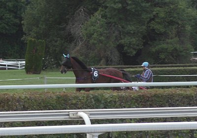 Fernando Sieg Av 17Sept2017 C a vor dem Rennen S2130028