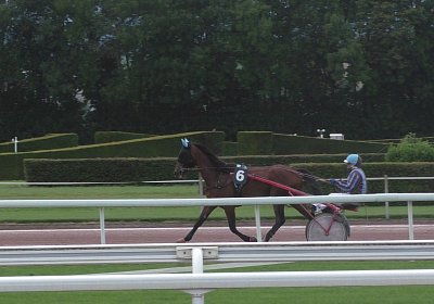 Fernando Sieg Av 17Sept2017 C a vor dem Rennen S2130029