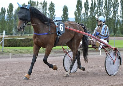 Fernando Sieg Av 17Sept2017 C vor dem Rennen MB Avenches 170917 023 Fernando Mat
