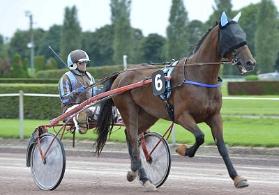 Fernando Sieg Av 17Sept2017 C vor dem Rennen MB Avenches 170917 027 Fernando Mat