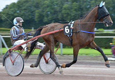 Fernando Sieg Av 17Sept2017 C vor dem Rennen MB Avenches 170917 028 Fernando Mat