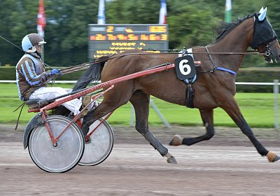 Fernando Sieg Av 17Sept2017 C vor dem Rennen MB Avenches 170917 029 Fernando Mat