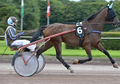 Fernando Sieg Av 17Sept2017 C vor dem Rennen MB Avenches 170917 030 Fernando Mat