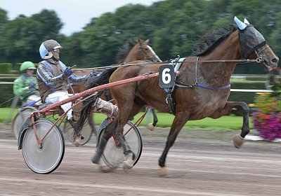 Fernando Sieg Av 17Sept2017 D Rennen MB Avenches 170917 037 Fernando Mat