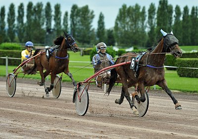 Fernando Sieg Av 17Sept2017 D Rennen uw 03 03 fernando mat etc