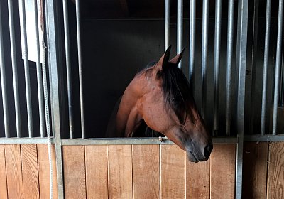 77 IMG 1360 Fernando