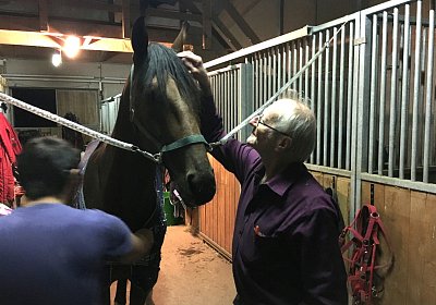 77 IMG 1432 Fernando Werner