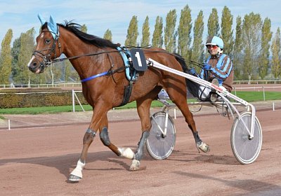 MB Avenches 171021 001 Elkador