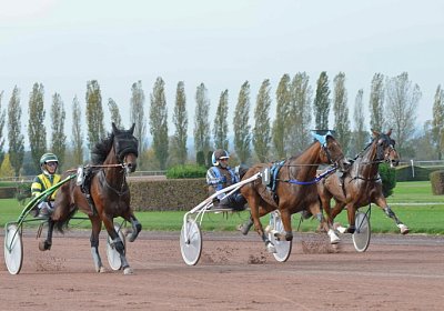 MB Avenches 171021 007 Elkador Elattori