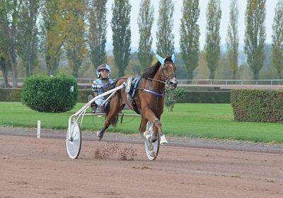 MB Avenches 171021 011 Elkador