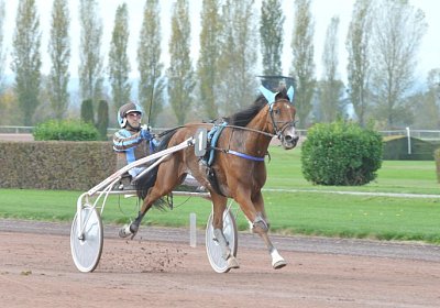 MB Avenches 171021 012 Elkador