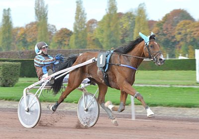 MB Avenches 171021 013 Elkador
