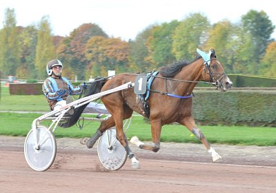 MB Avenches 171021 014 Elkador