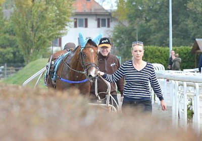 MB Avenches 171021 016 Elkador