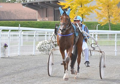 MB Avenches 171021 020 Elkador