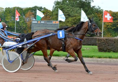 MB Avenches 171021 059 Rebus