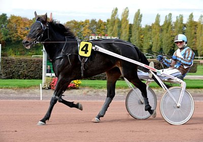 MB Avenches 171021 088 Canone