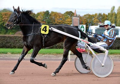 MB Avenches 171021 089 Canone