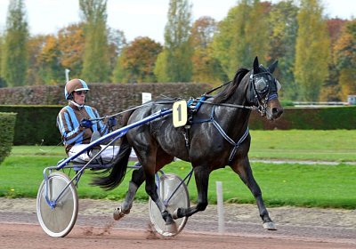 MB Avenches 171021 090 Global Spotify