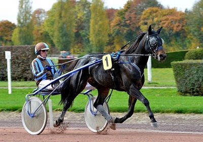 MB Avenches 171021 091 Global Spotify