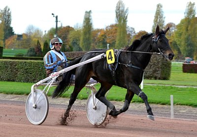 MB Avenches 171021 094 Canone