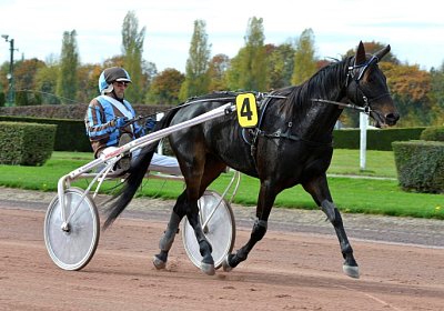 MB Avenches 171021 098 Canone