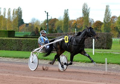 MB Avenches 171021 101 Canone
